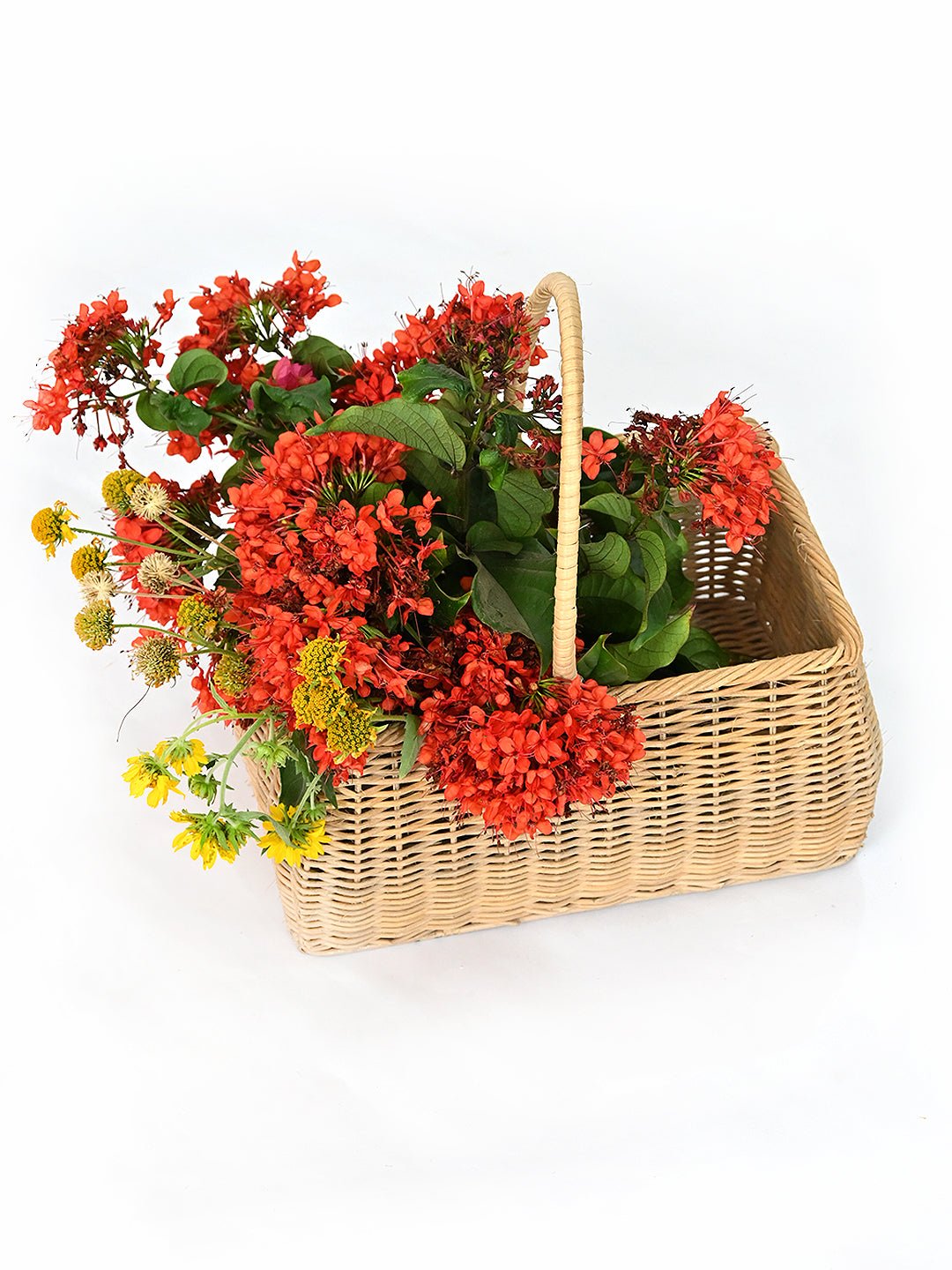 DRACEANA - MULTIPURPOSE JUTE BASKET - ART AVENUE