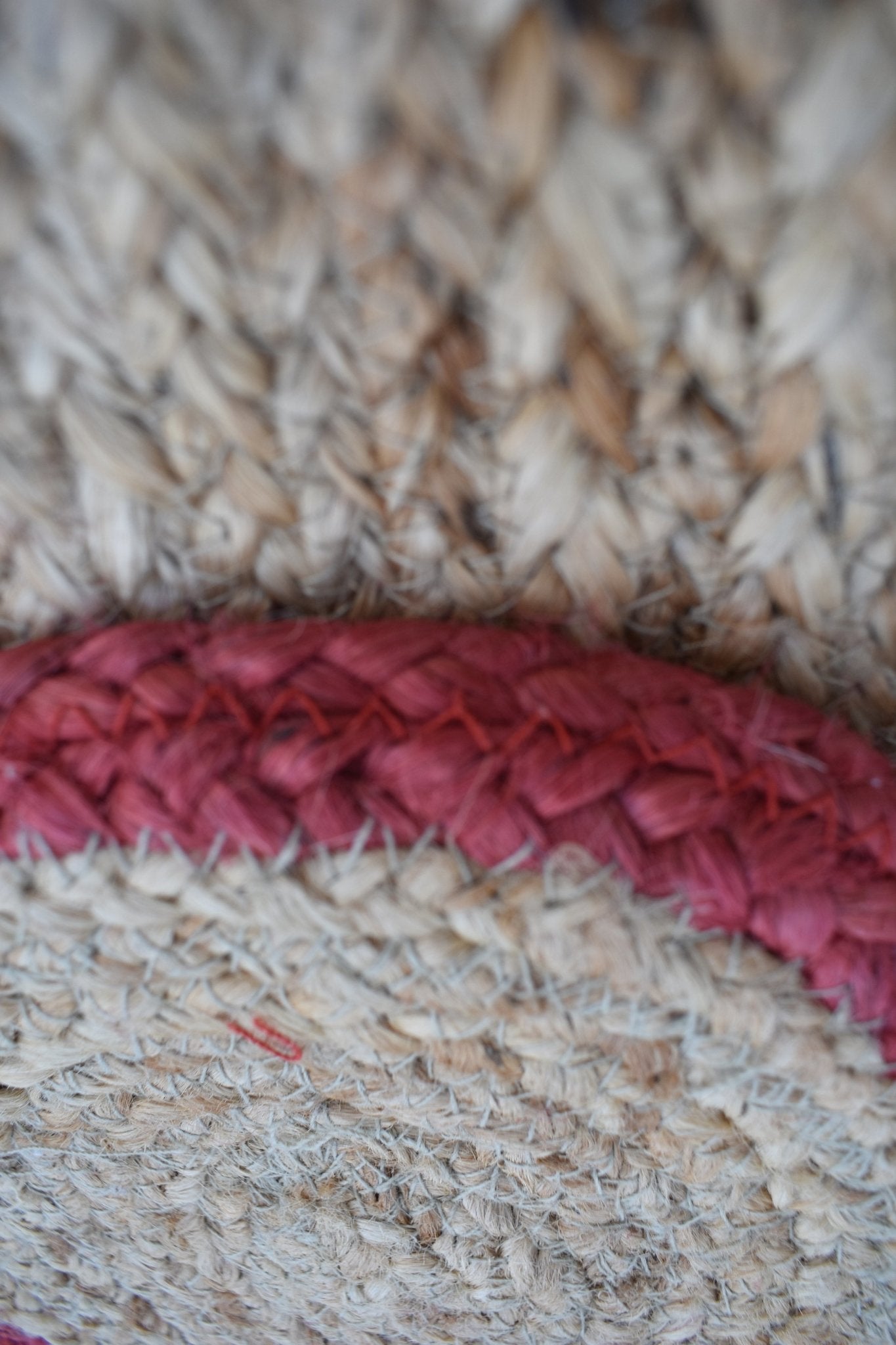 Saoirse braided rug room setting — Art Avenue