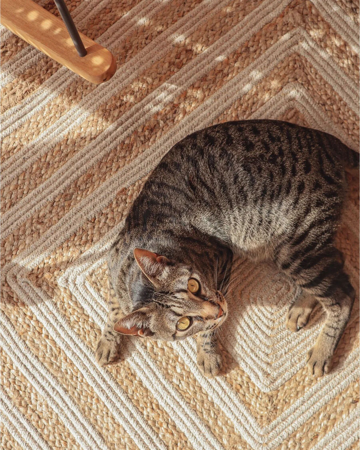 Hebe Braided Jute Rug