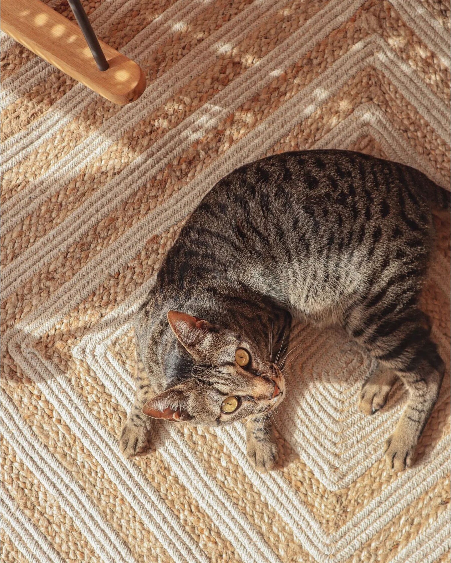Hebe Braided Jute Rug