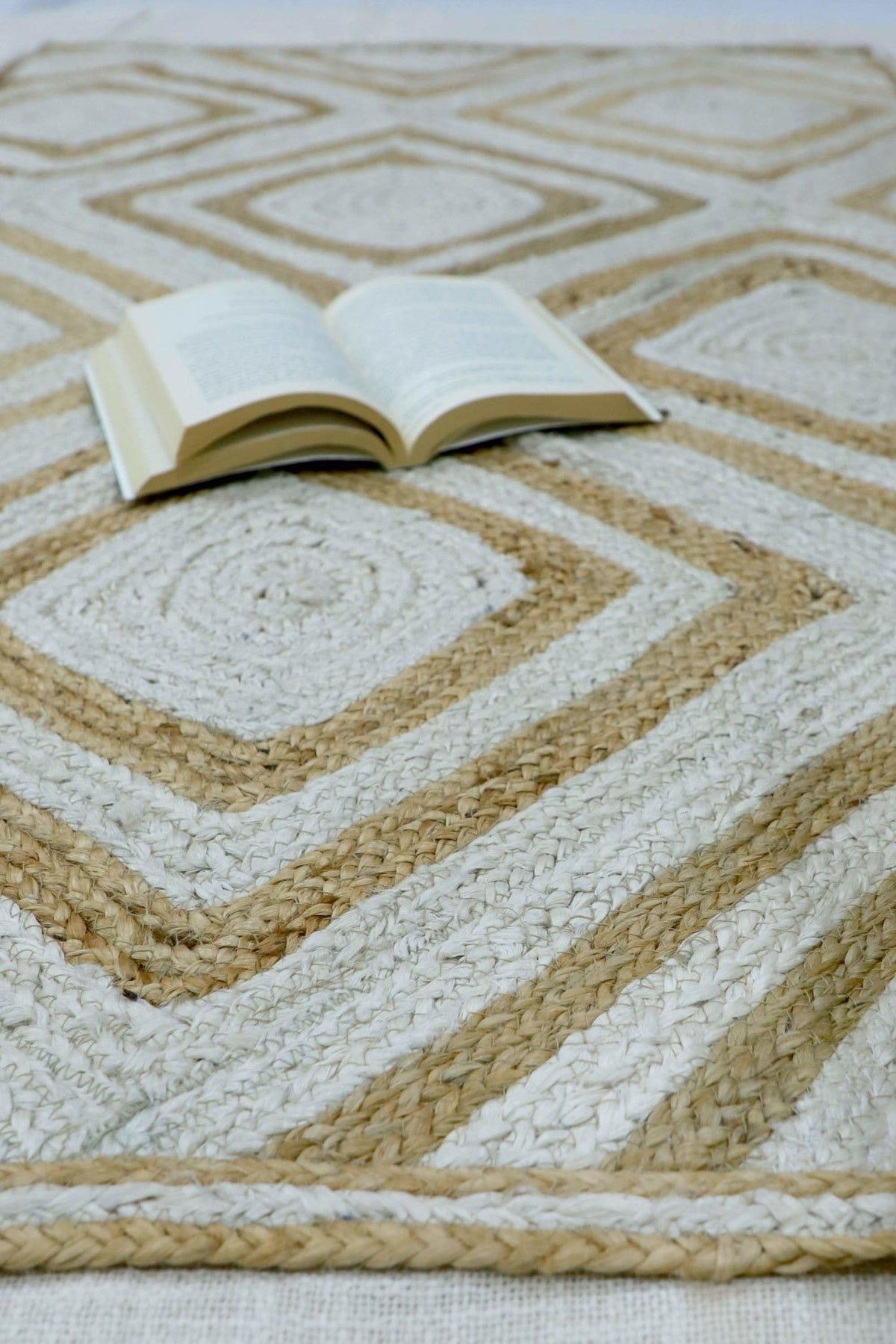 Belgium braided rug room setting — Art Avenue